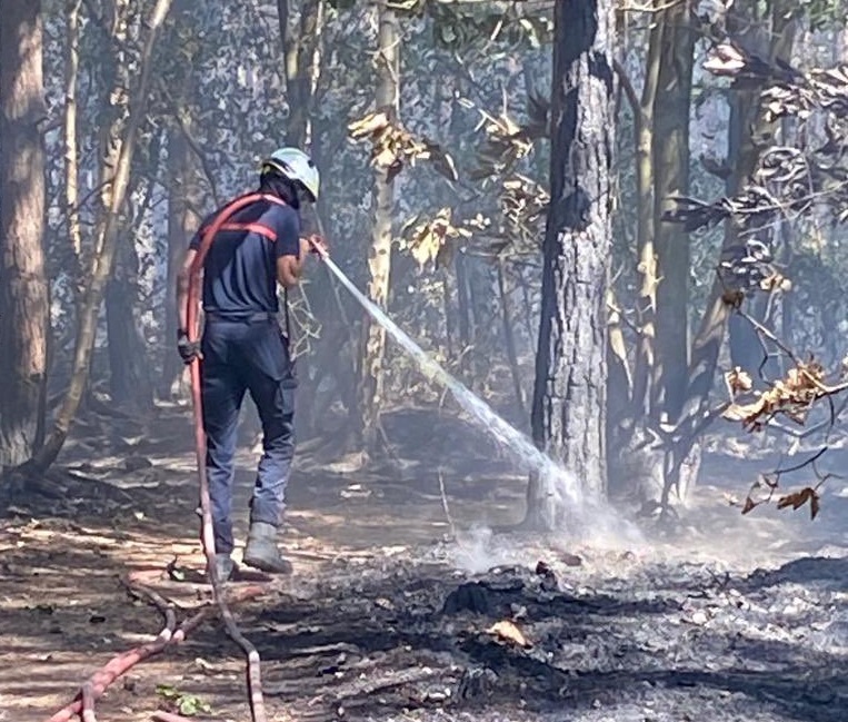 A Ecaquelon, les feux ont détruits 60 hectares de chaume et 46 hectares de bois - Photo © Sdis27