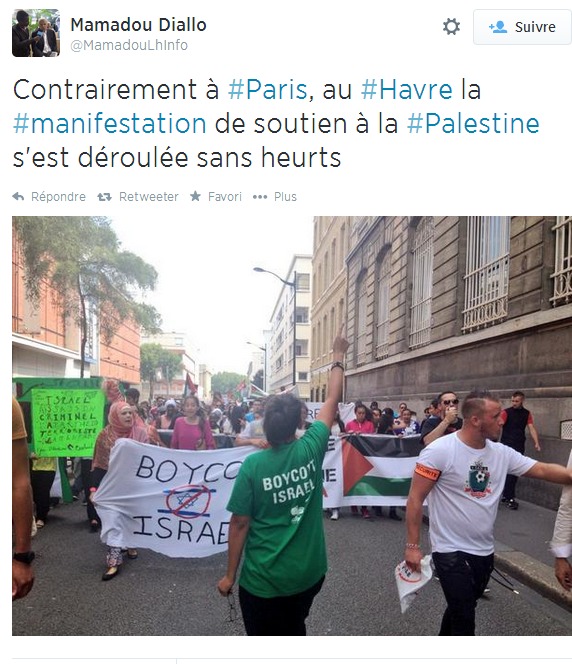 1 600 manifestants en Seine-Maritime pour soutenir le peuple palestinien