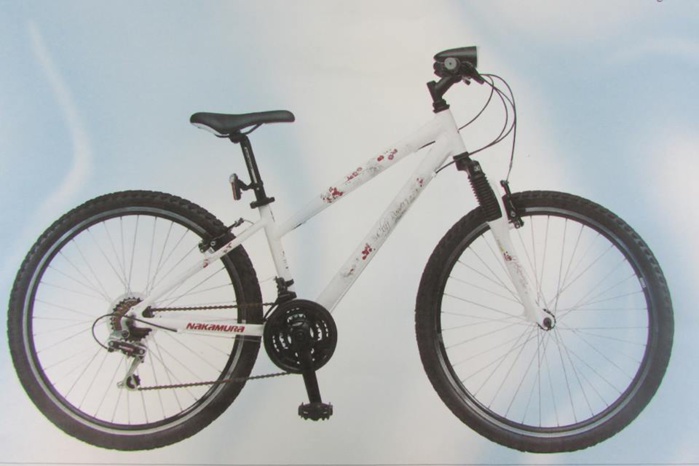 Si vous apercevez ce VTT, qui appartient à la petite disparue, il convient d'alerter la gendarmerie Si vous apercevez ce VTT, qui appartient à la petite disparue, il convient d'alerter la gendarmerie