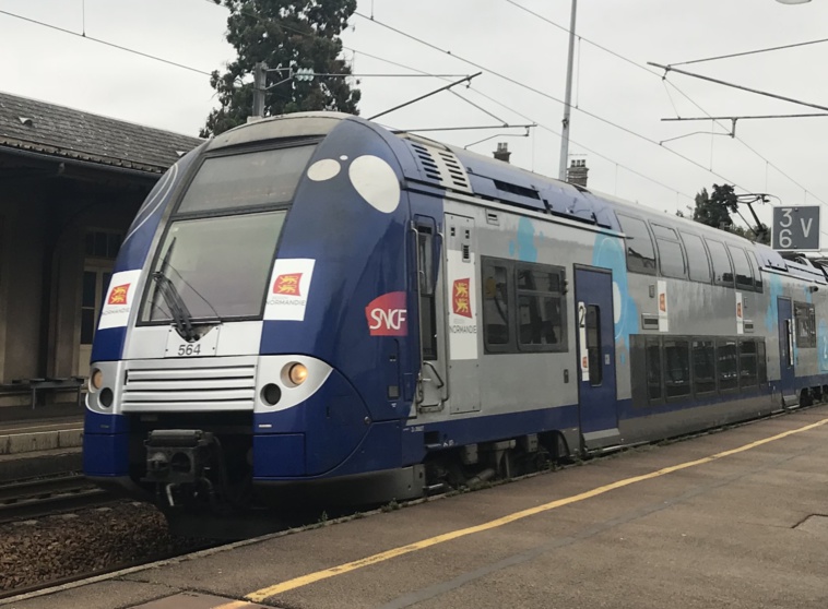 Le fraudeur récalcitrant a été délogé des voies par les policiers - Illustration © infoNormandie Le fraudeur récalcitrant a été délogé des voies par les policiers - Illustration © infoNormandie