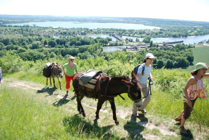 Eure : de la nuit de la chauve-souris aux petites fleurs du roi Richard... Eure : de la nuit de la chauve-souris aux petites fleurs du roi Richard...