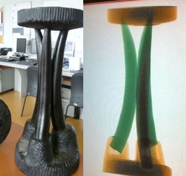 Passé aux rayons X, le tabouret en bois sculpté (photo de gauche) a révélé que ses pieds étaient en réalité des défenses d'éléphant (photo de droite) Document : Douane française