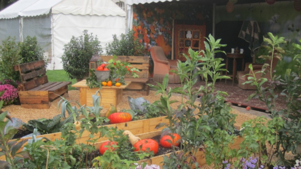 Plantes en fête à Gonfreville l'Orcher : 80 exposants attendus autour d'animations pendant trois jours Plantes en fête à Gonfreville l'Orcher : 80 exposants attendus autour d'animations pendant trois jours