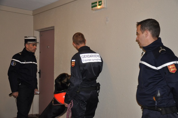Le chien spécialisé dans la recherche de produits stupéfiants a inspecté les moindres recoins dans les parties communes de certains immeubles suspectés d'abriter de la drogue (Photo @infoNormandie) Le chien spécialisé dans la recherche de produits stupéfiants a inspecté les moindres recoins dans les parties communes de certains immeubles suspectés d'abriter de la drogue (Photo @infoNormandie)