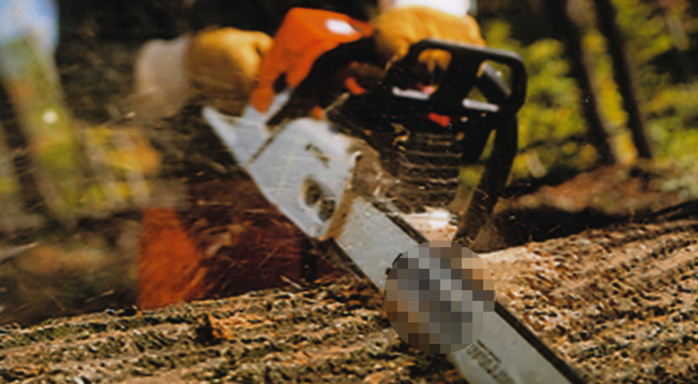 Saint-Germain-en-Laye : le bûcheron s'entaille le pied avec sa tronçonneuse Saint-Germain-en-Laye : le bûcheron s'entaille le pied avec sa tronçonneuse