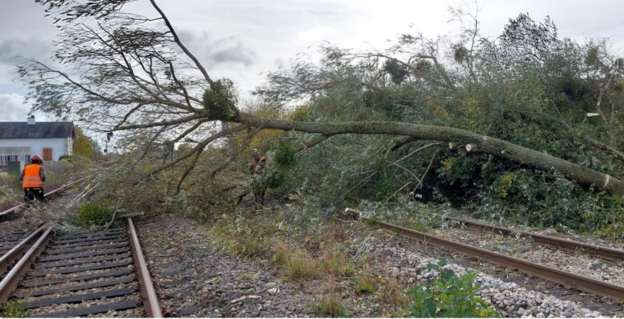 Les voies de chemin de fer ont été fortement impactées par les chutes d'arbres - Photo © SNCF/X (ex-Twitter)