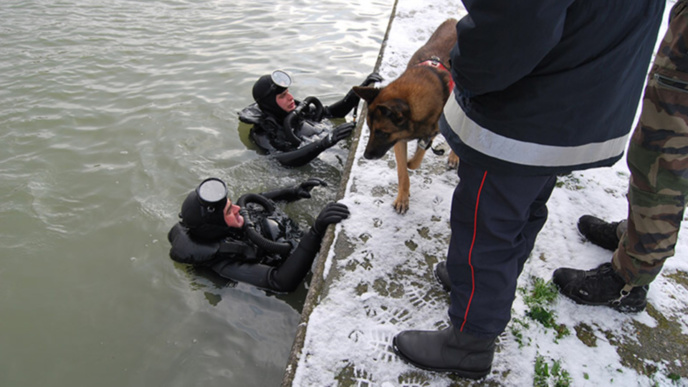 Illustration. Illustration.