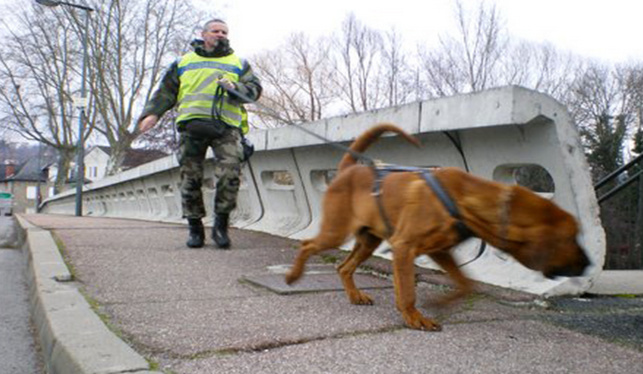Les services de police ont demandé le concours de chiens pisteurs pour tenter de retrouver la trace du disparu (Illustration)