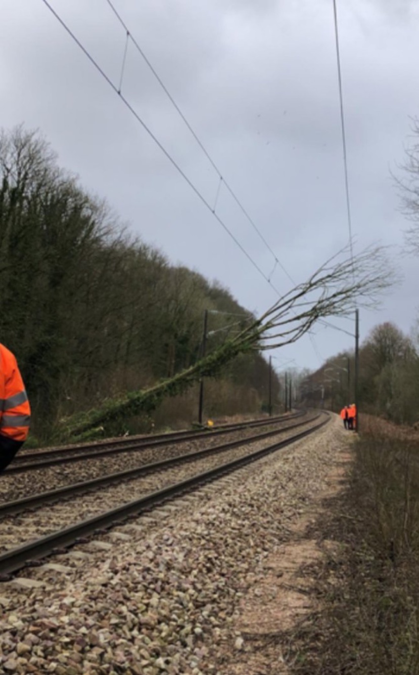 L’arbre a été dégagé en fin de journée - photo @ SNCF/X L’arbre a été dégagé en fin de journée - photo @ SNCF/X