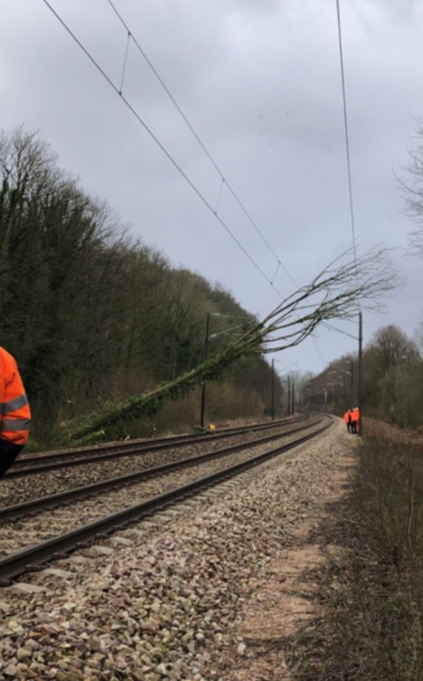 L’arbre a été dégagé en fin de journée - photo @ SNCF/X