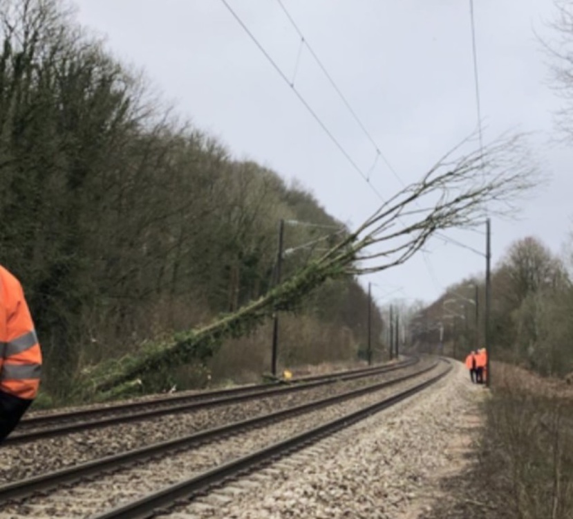 Ici, près du Havre, un arbre est tombé sur les voies sous l’effet des rafales de vent. Le trafic a été interrompu dans les deux sens - photo @ SNCF/X