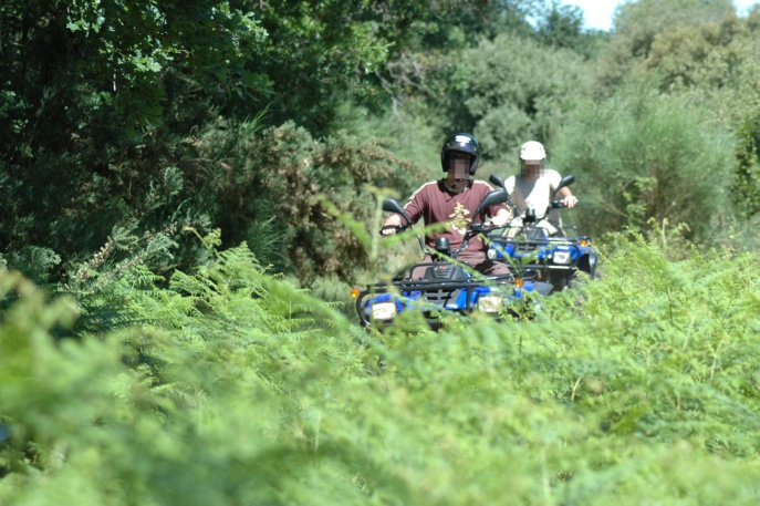 Rouen : six motos et un quad confisqués lors d'une opération anti-rodéos en forêt Rouen : six motos et un quad confisqués lors d'une opération anti-rodéos en forêt