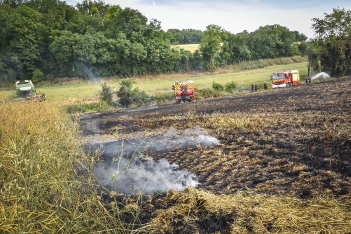 Eure : 81 hectares de récoltes et de sous-bois détruits par des incendies