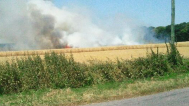Sécheresse : 220 ha de récoltes, de sous-bois et de chaume détruits par le feu en 2 jours dans l'Eure Sécheresse : 220 ha de récoltes, de sous-bois et de chaume détruits par le feu en 2 jours dans l'Eure