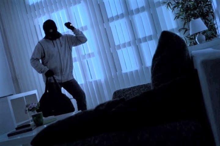 Les jeunes cambrioleurs ont fait main basse dans le pavillon sur différents objets - illustration