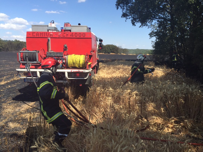50 sapeurs-pompiers du département ont été mobilisés tout l'après-midi pour des feux de récolte et de taillis dans le sud de l'Eure (Photos @DR)