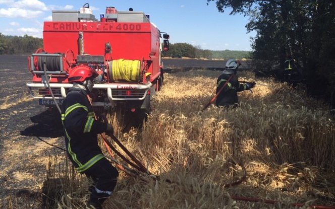 Eure : 10 hectares de chaume détruits par le feu à la Croix-Saint-Leufroy