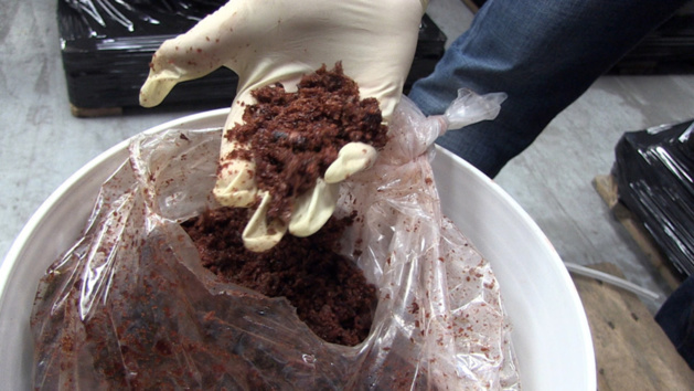 Port du Havre : 15 tonnes de tabac à narguilé saisies par les douaniers Port du Havre : 15 tonnes de tabac à narguilé saisies par les douaniers