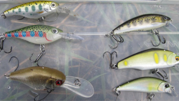 Illustration. Illustration.