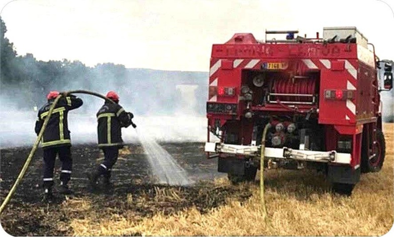 Illustration Illustration