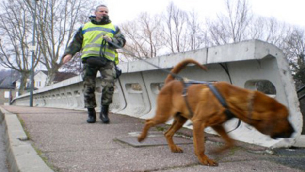 Illustration. Le chien pisteur de la gendarmerie a retrouvé la trace de l'enfant Illustration. Le chien pisteur de la gendarmerie a retrouvé la trace de l'enfant