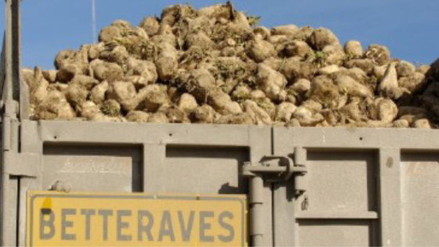 Eure : trois camions de betteraves victimes de projectiles sur la RD613, à Nassandres 