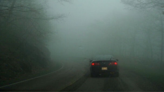 Par temps de brouillard, il convient d'adapter sa vitesse aux conditions de visibilité Par temps de brouillard, il convient d'adapter sa vitesse aux conditions de visibilité