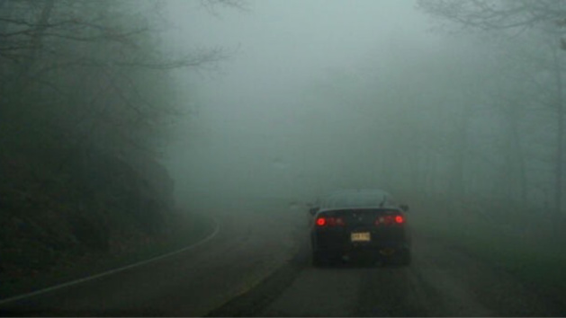 Par temps de brouillard, il convient d'adapter sa vitesse aux conditions de visibilité