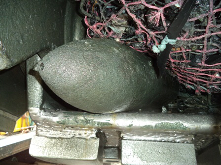 La bombe allemande de 50 kg remontée à la surface va être détruite par les plongeurs-démineurs de la Marine (Photo@PREMAR)