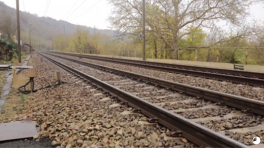 Marly-le-Roi : tué par un train de voyageurs en se jetant sur les rails Marly-le-Roi : tué par un train de voyageurs en se jetant sur les rails
