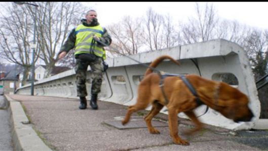 Le chien des gendarmes a pu retrouver la piste du voleur (Illustration) Le chien des gendarmes a pu retrouver la piste du voleur (Illustration)
