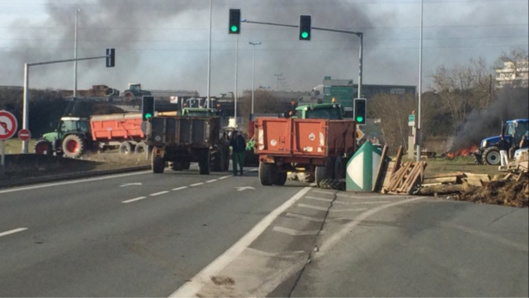 Photo@alexgrenot/Twitter Photo@alexgrenot/Twitter