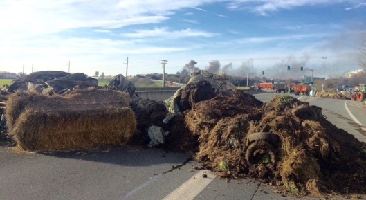 Photo@alexgrenot/Twitter Photo@alexgrenot/Twitter