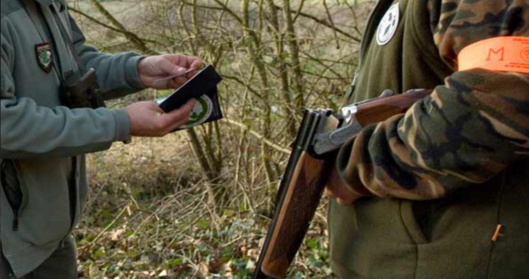 Illustration@DR Illustration@DR