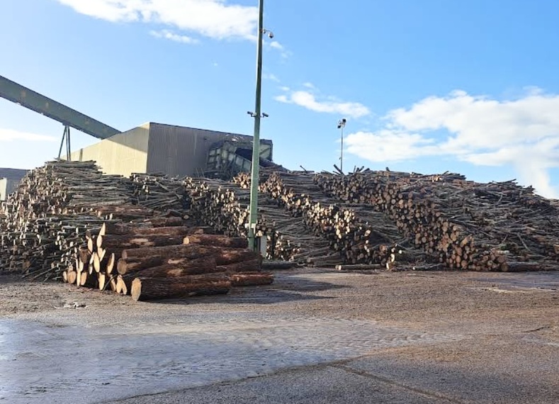 Deux convoyeurs, sorte de tapis roulant servant à transporter le biomasse ont été fortement endommagés par l’incendie - illustration BEA