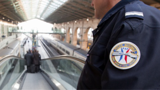 Police aux frontières (Illustration@DGPN) Police aux frontières (Illustration@DGPN)