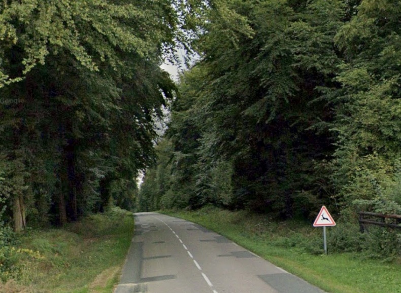 Quelque 3 500 ha de forêt ont été impactés par les orages du 25 juin - illustration Google Maps Quelque 3 500 ha de forêt ont été impactés par les orages du 25 juin - illustration Google Maps