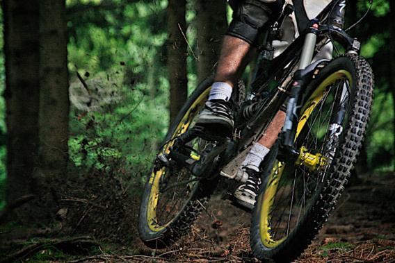 Fric-frac chez un marchand de vélos à Offranville : 20 VTT dérobés dans la nuit Fric-frac chez un marchand de vélos à Offranville : 20 VTT dérobés dans la nuit