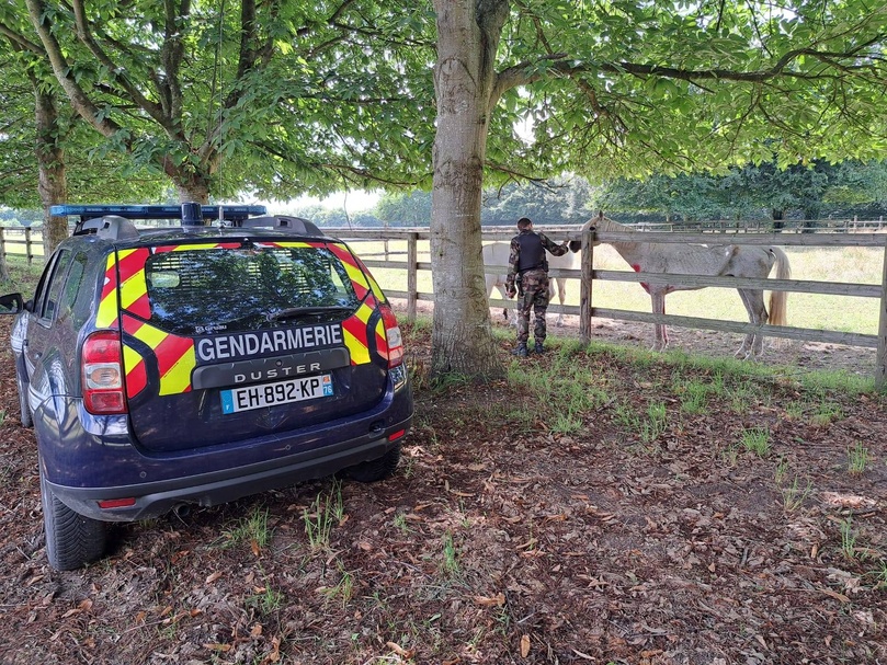 La gendarmerie a procédé ces dernières semaines au renforcement des patrouilles de surveillance, notamment dans les zones rurales et les secteurs où sont implantés des centres équestres, écuries ou des pâturages.- Photo Gendarmerie76/Facebook