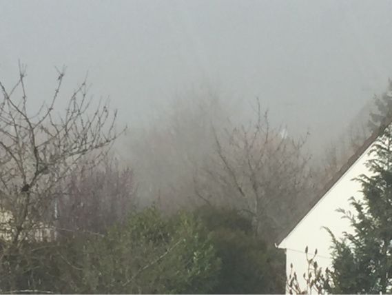 Des bancs de brouillard sont observés ce matin dans l'Eure