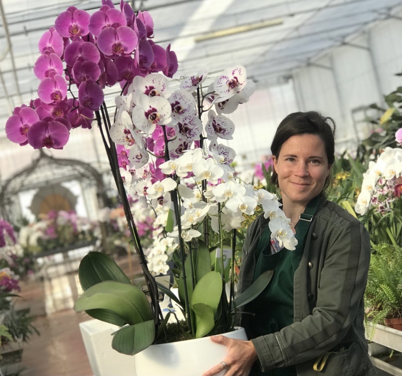 Plusieurs centaines de spécimens, dont certains rarissimes : orchidée-pensée, fleur-papillon, orchidée araignée, sabot de Vénus ou encore Vanda, cette étonnante orchidée qui pousse sans terre - Photo Château de Vascoeuil