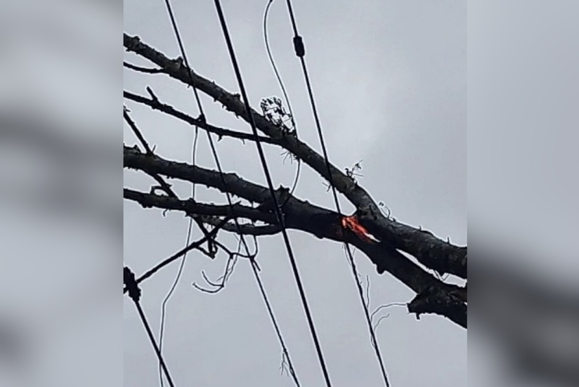 Photo publiée par la SNCF sur X Photo publiée par la SNCF sur X