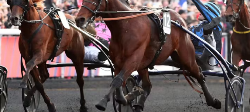 Illustration PMU Illustration PMU