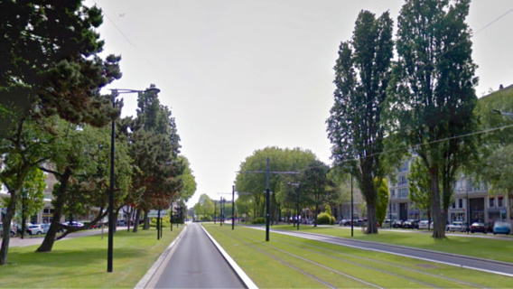 Au Havre, un peuplier de 30 mètres s'abat sur les voies du tramway : trafic coupé durant 5 h