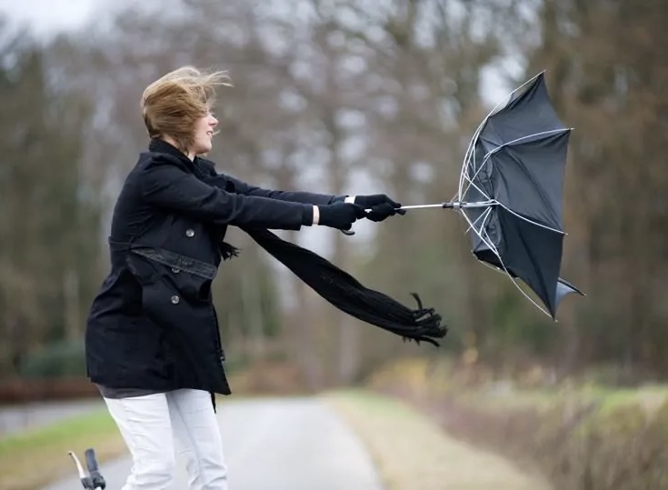 Des vents forts sont annoncés par météo France dans la journée de ce lundi - illustration
