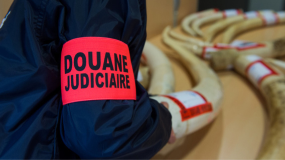 Photos@Douanes françaises