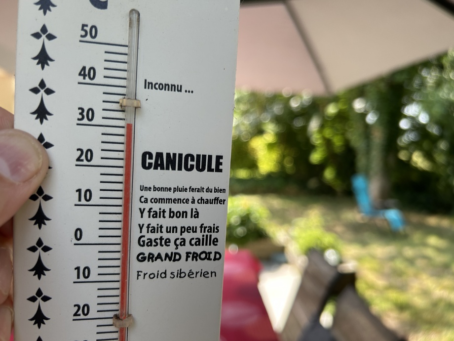 FLASH INFO - Canicule : les infos à connaître en temps réel  