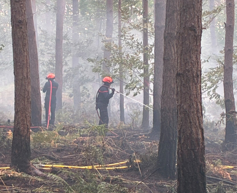 Le dernier bilan fait état de deux hectares de sous-bois partis en fumée - Photo ©Sdis27