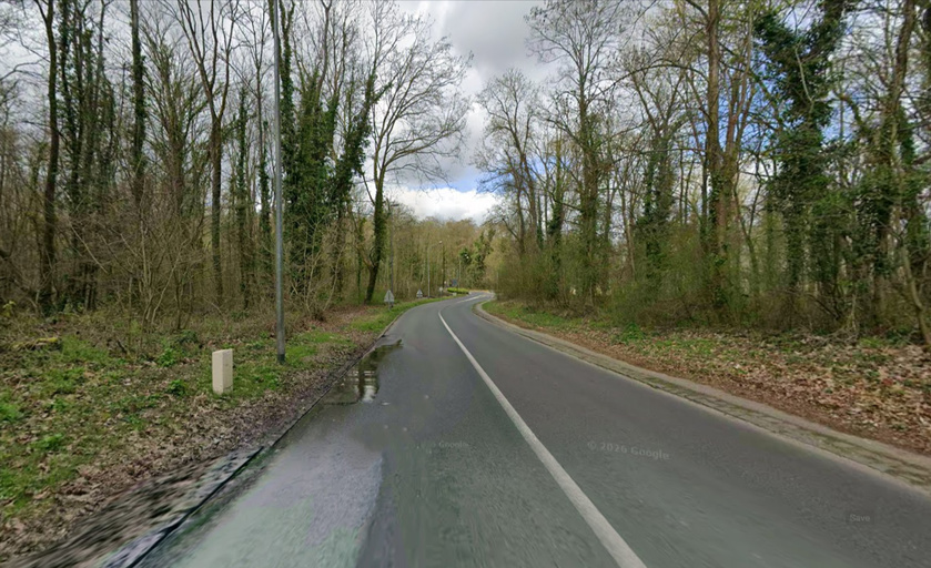 Le feu se serait déclaré dans la soirée en bordure de l'avenue de Trivaux, en forêt de Meudon - Capture d'écran Google Maps