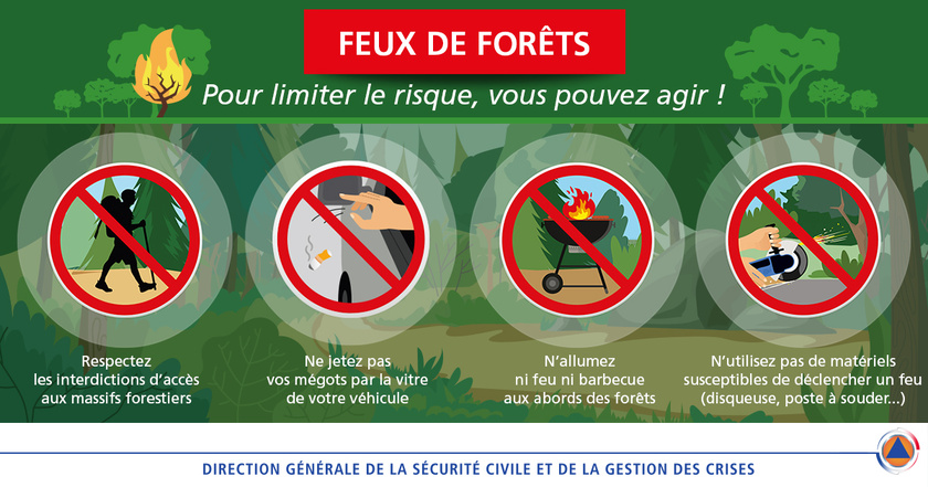 Feux de végétation en Seine-Maritime : ces imprudences qui peuvent tout embraser